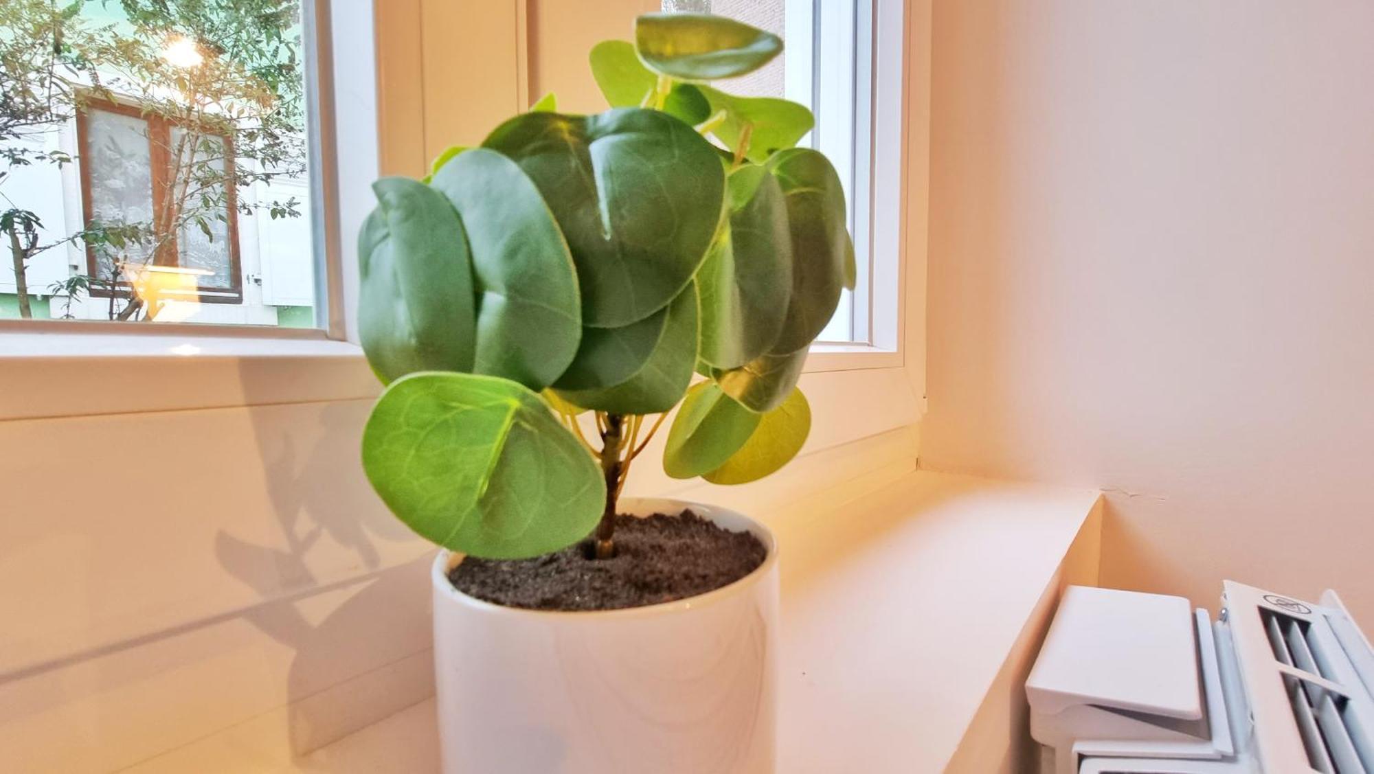 La Buhl Verte - Chic Et Moderne - Calme - Fibre - Relax Bnb Luaran gambar